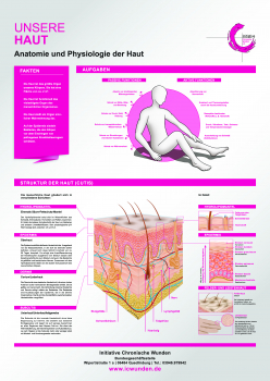 A 2 (gefaltet) - Poster Unsere Haut